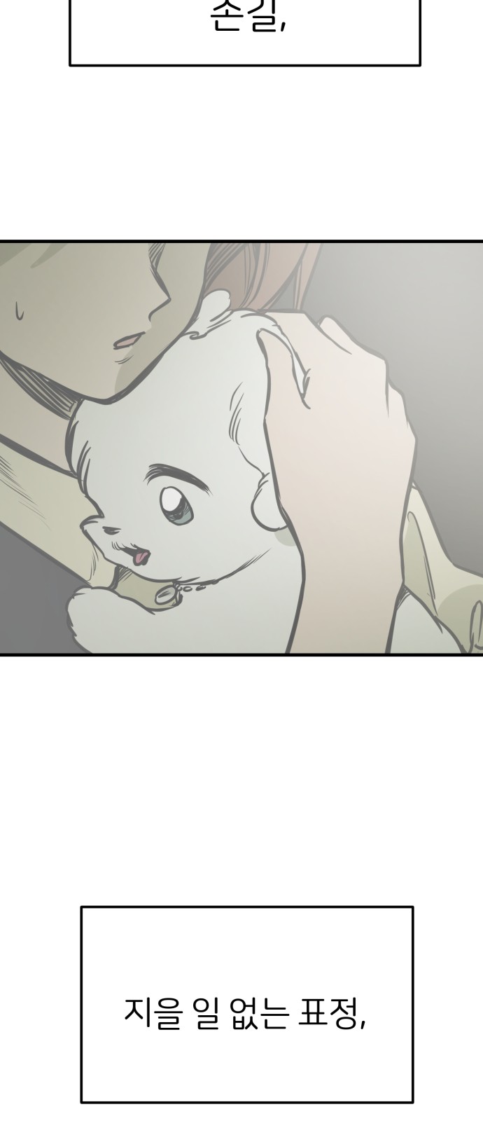 51 페이지