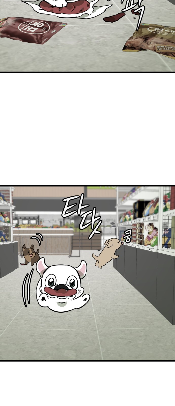 41 페이지
