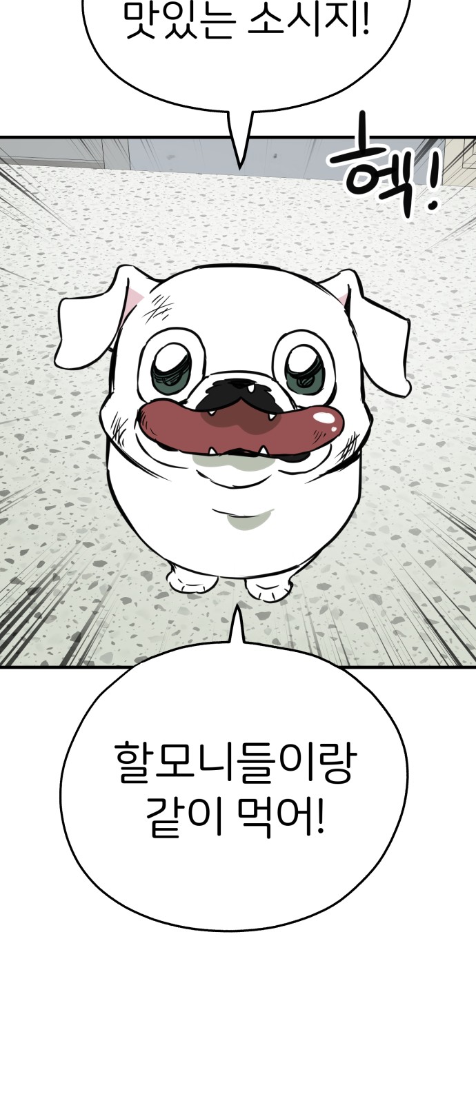 43 페이지