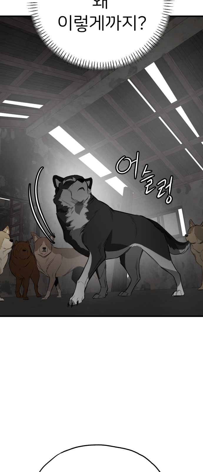 45 페이지