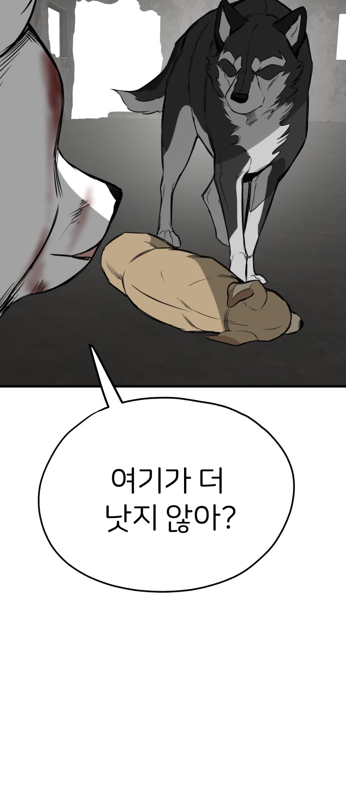 38 페이지