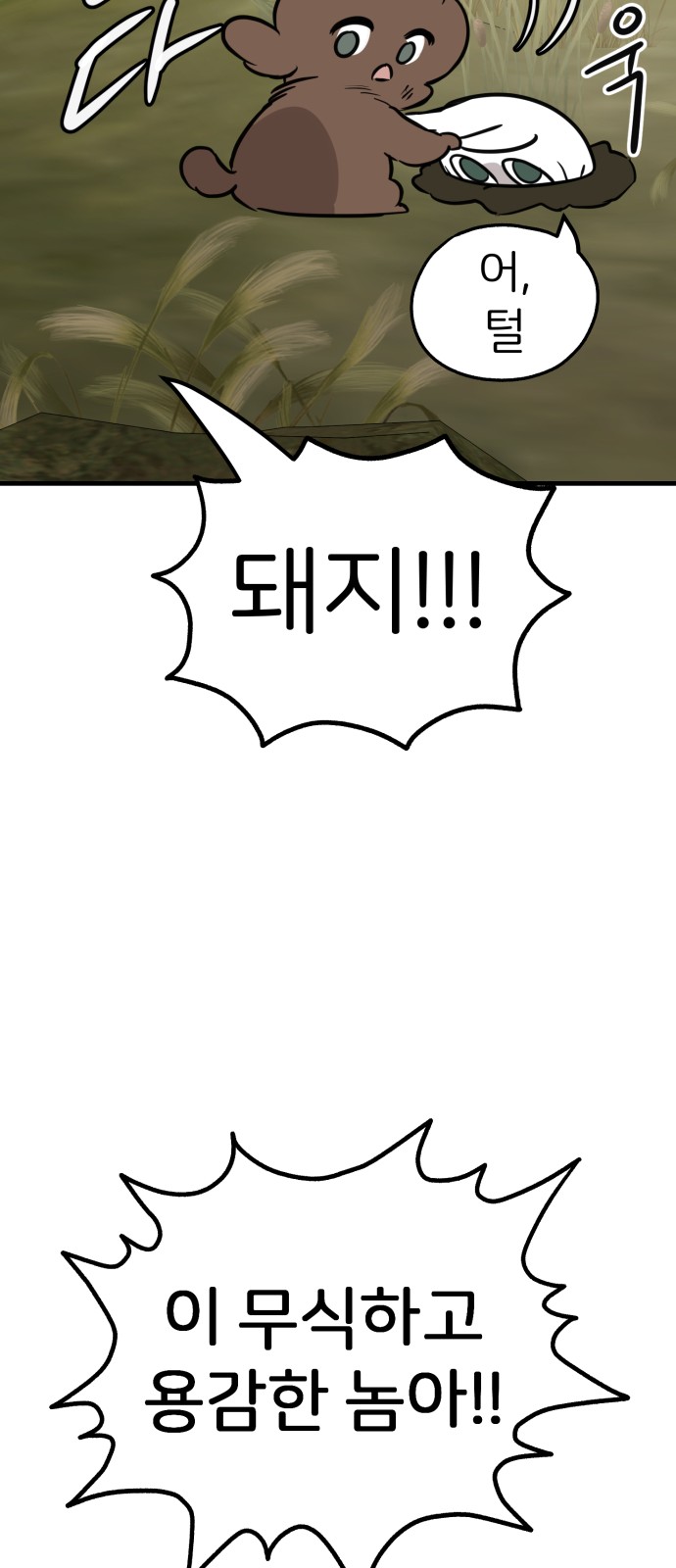 74 페이지