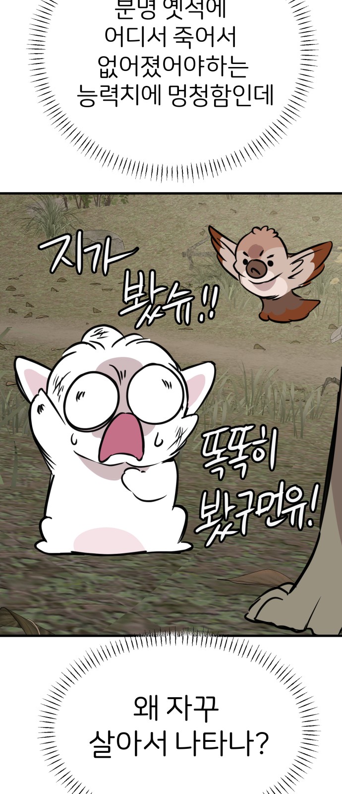 26 페이지