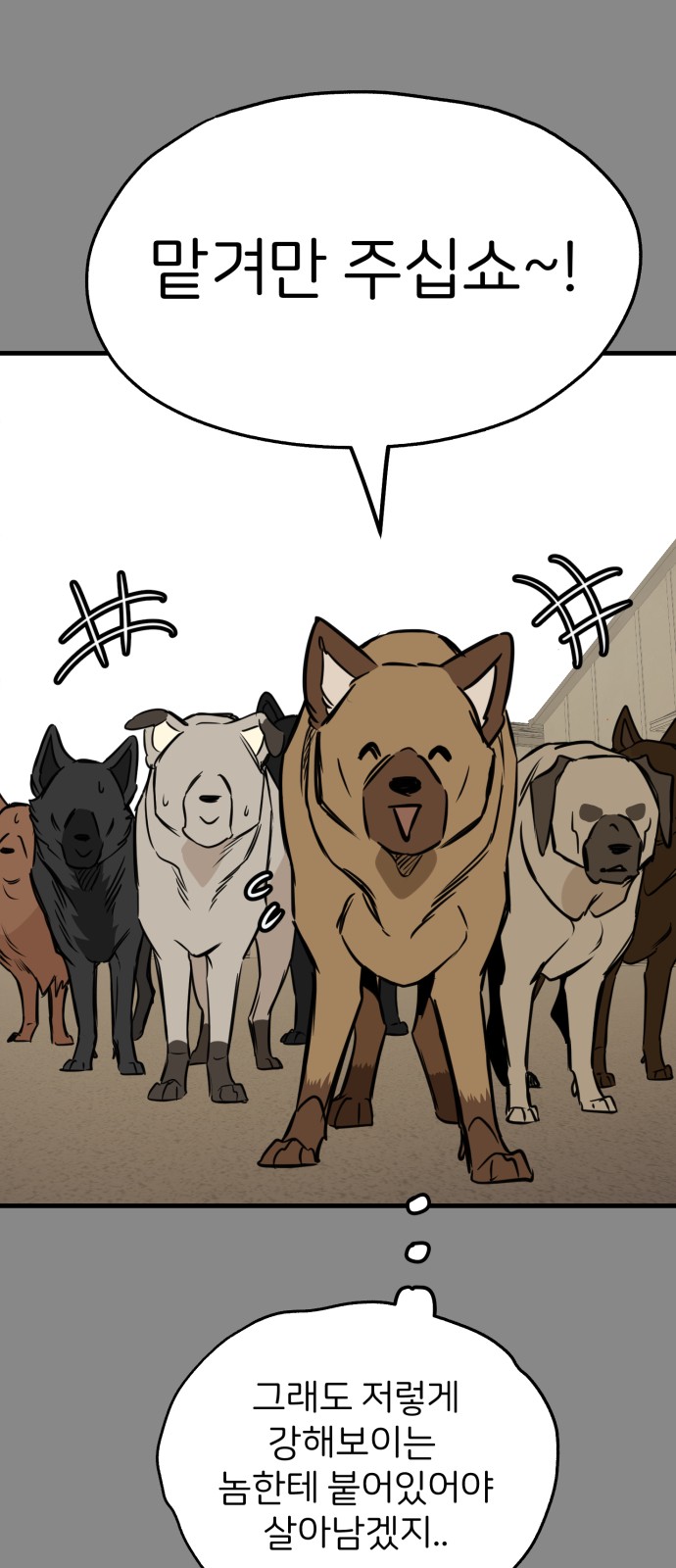 20 페이지
