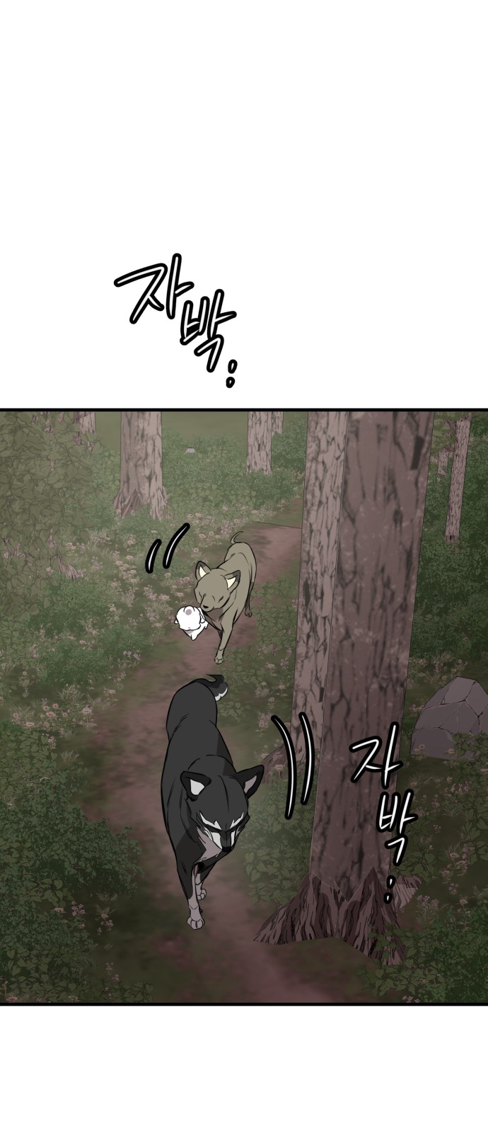 62 페이지