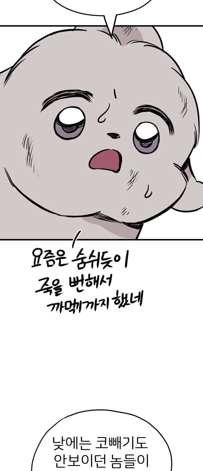 77 페이지