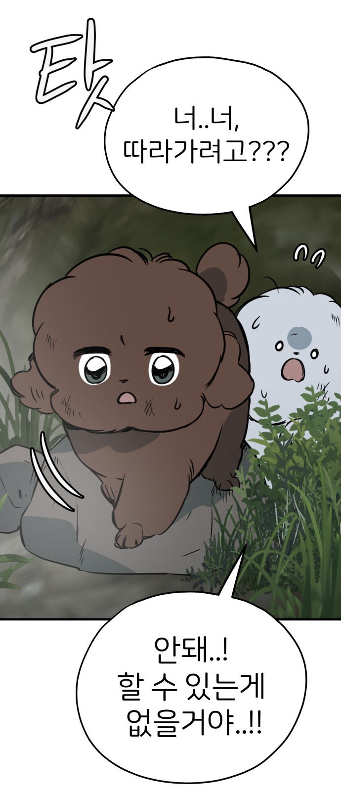 52 페이지