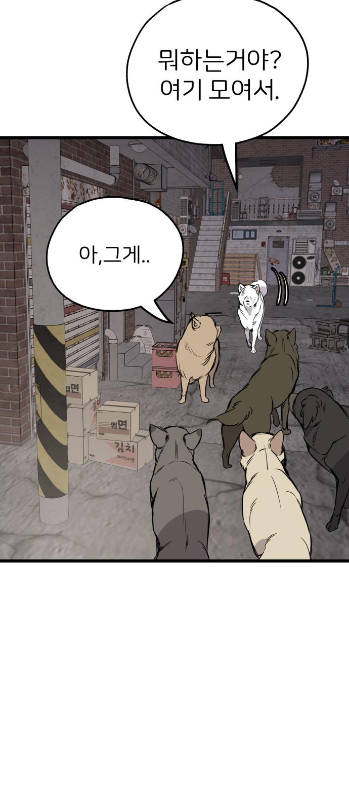 58 페이지