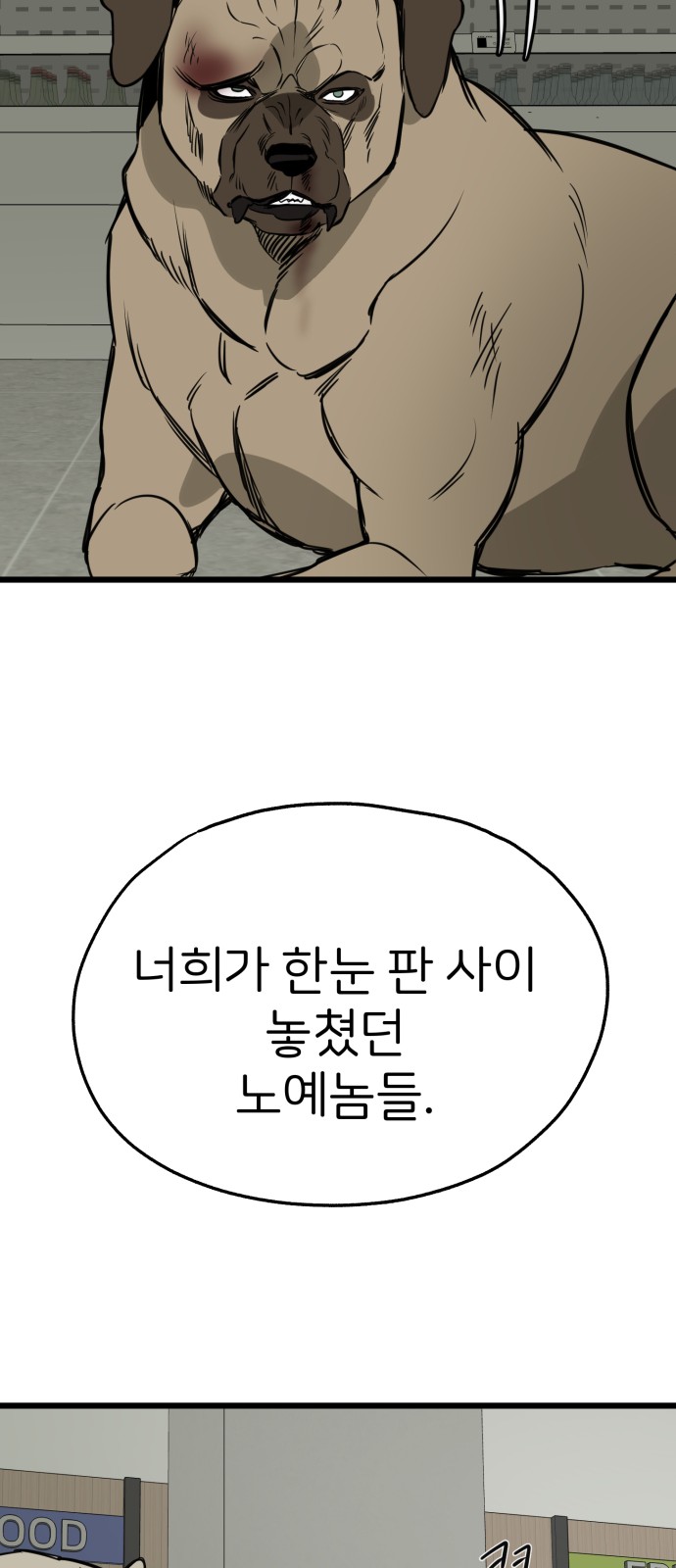 61 페이지
