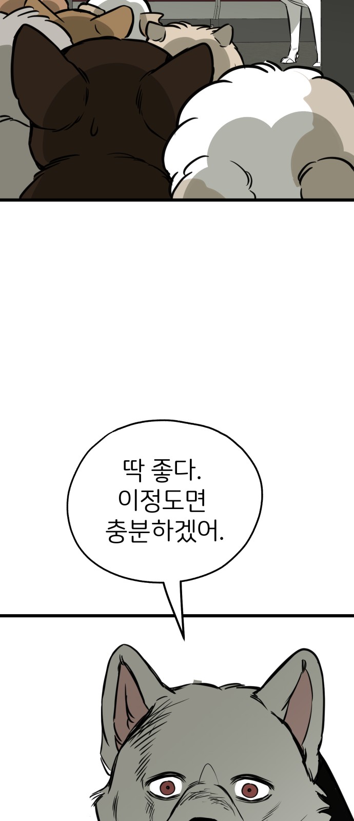 66 페이지