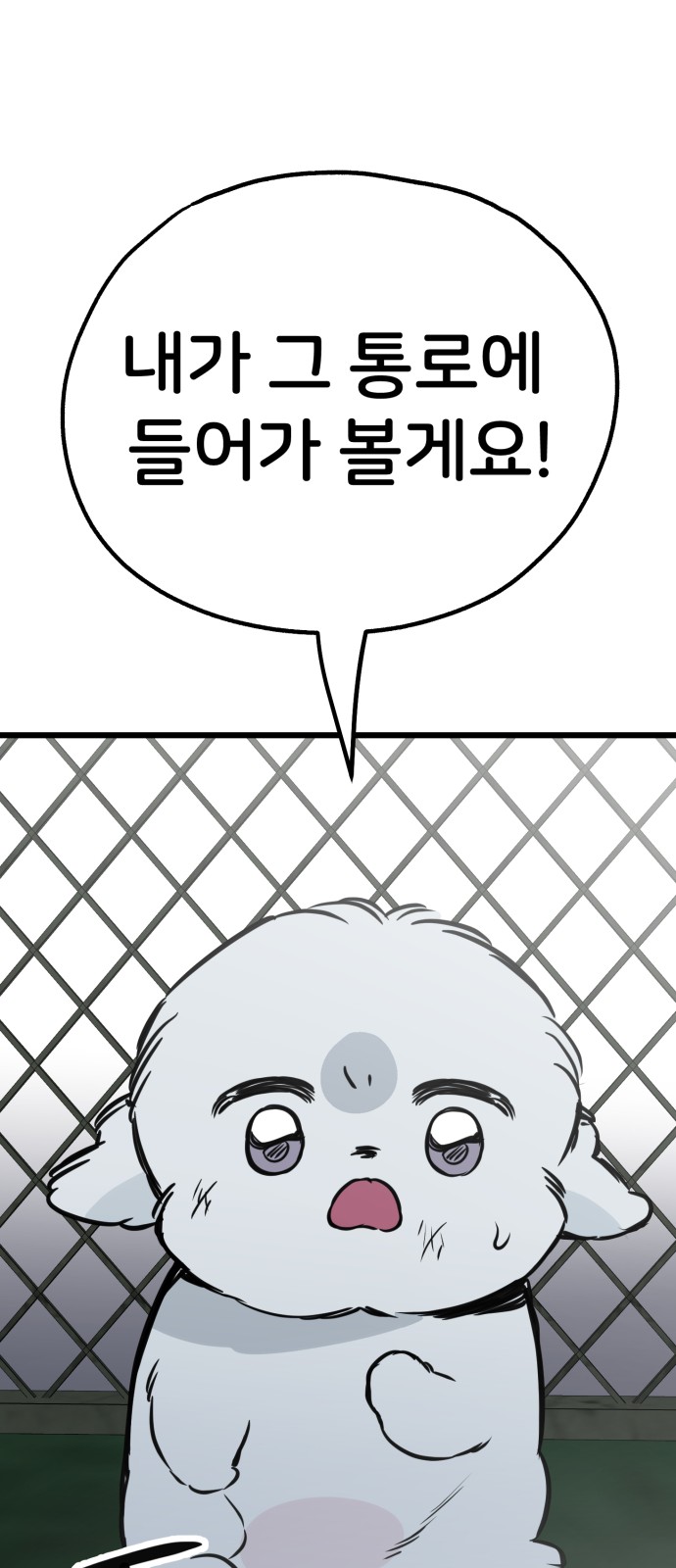 80 페이지