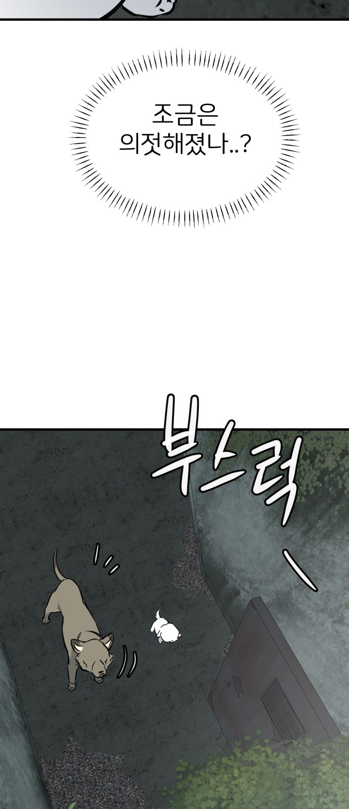 56 페이지