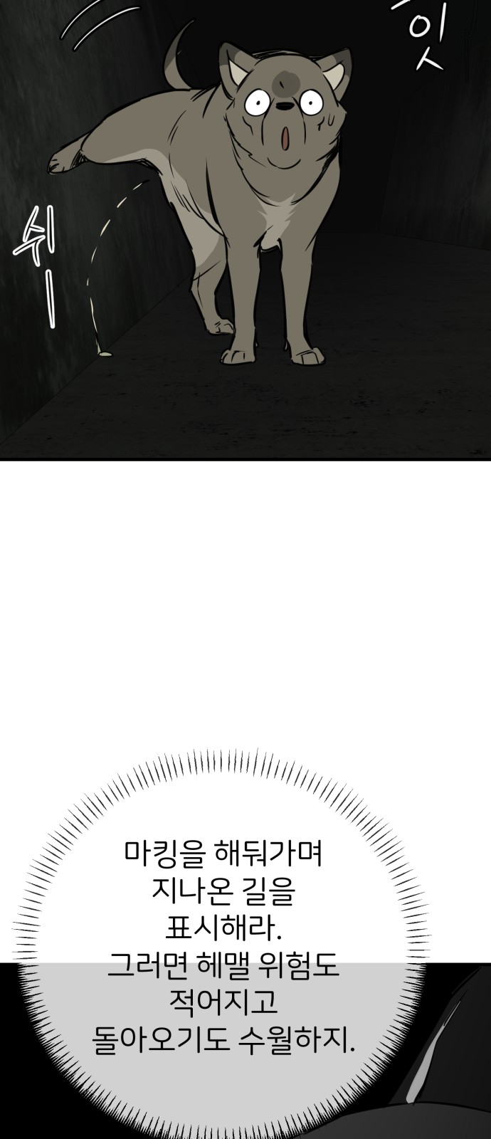 56 페이지