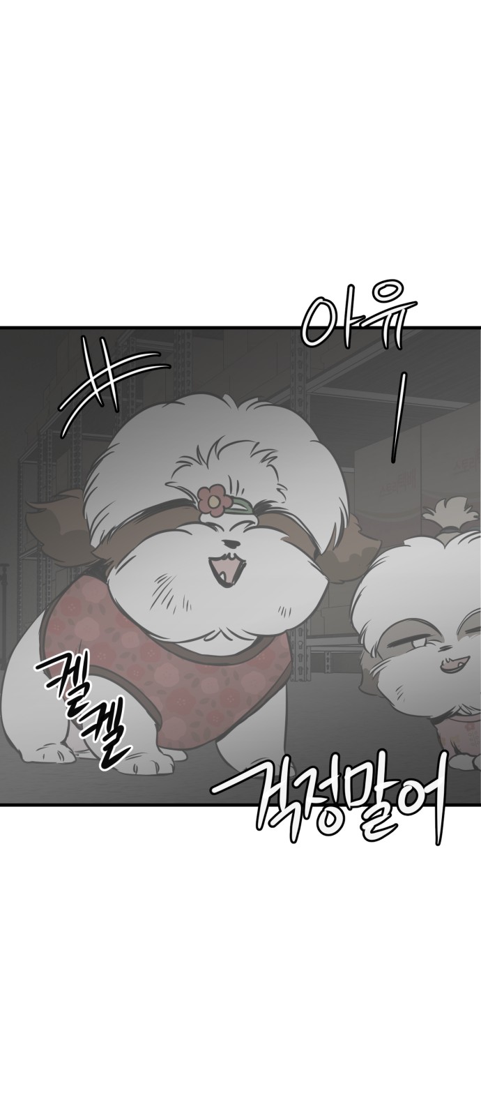 6 페이지