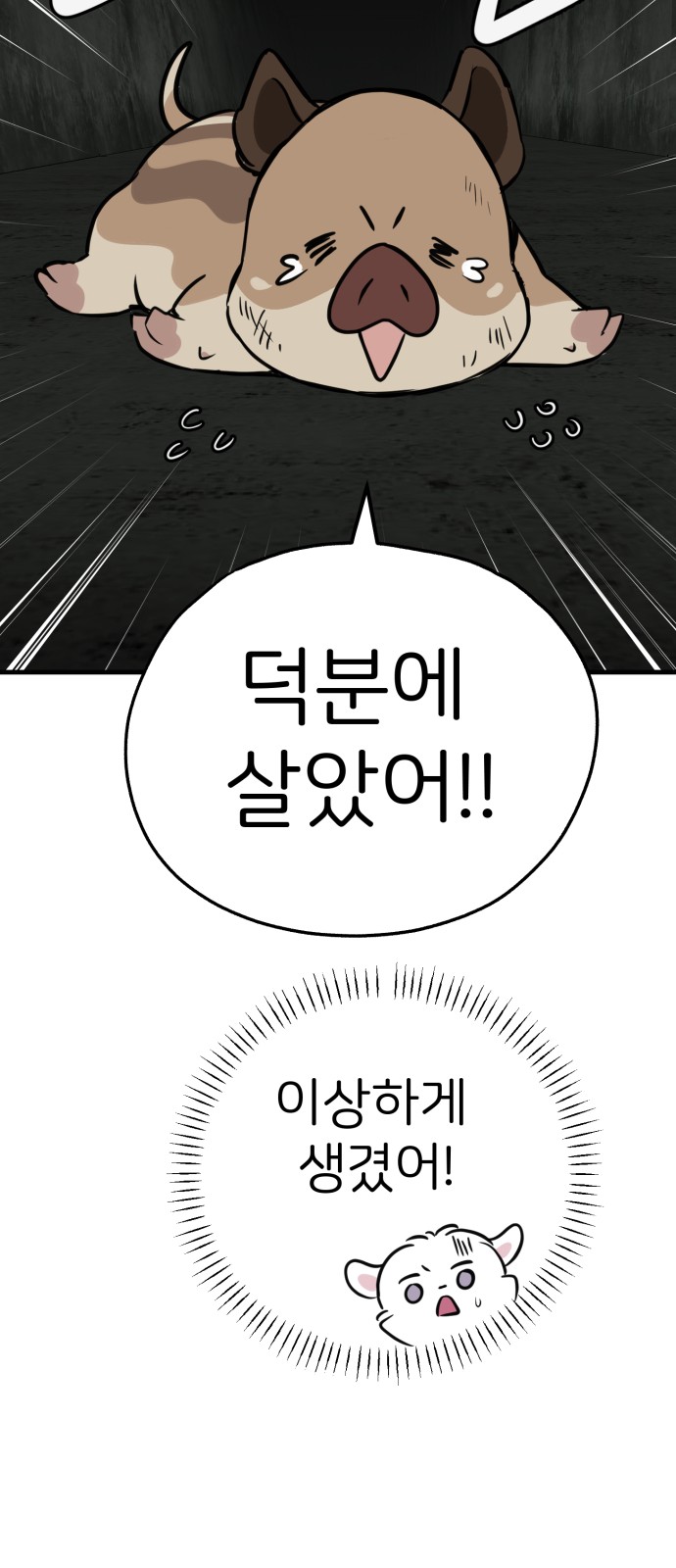 43 페이지