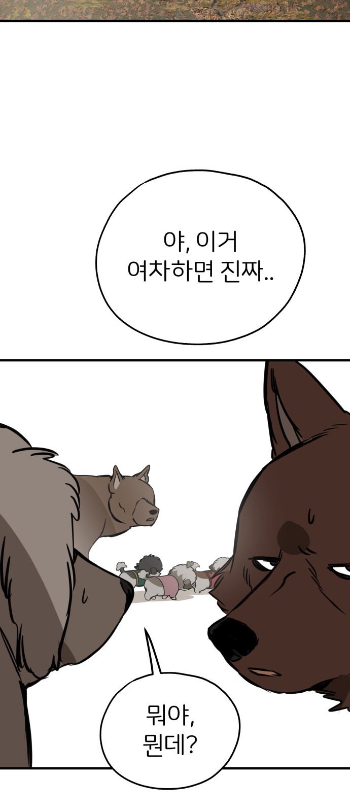 16 페이지