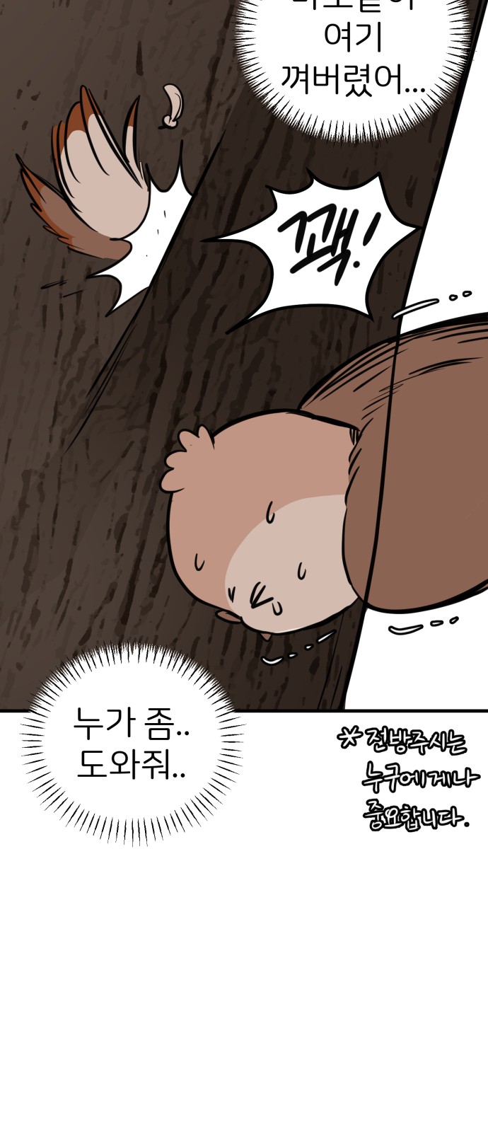 30 페이지