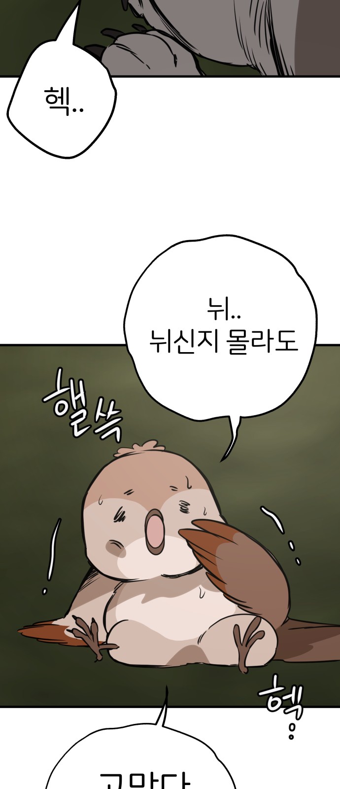 33 페이지