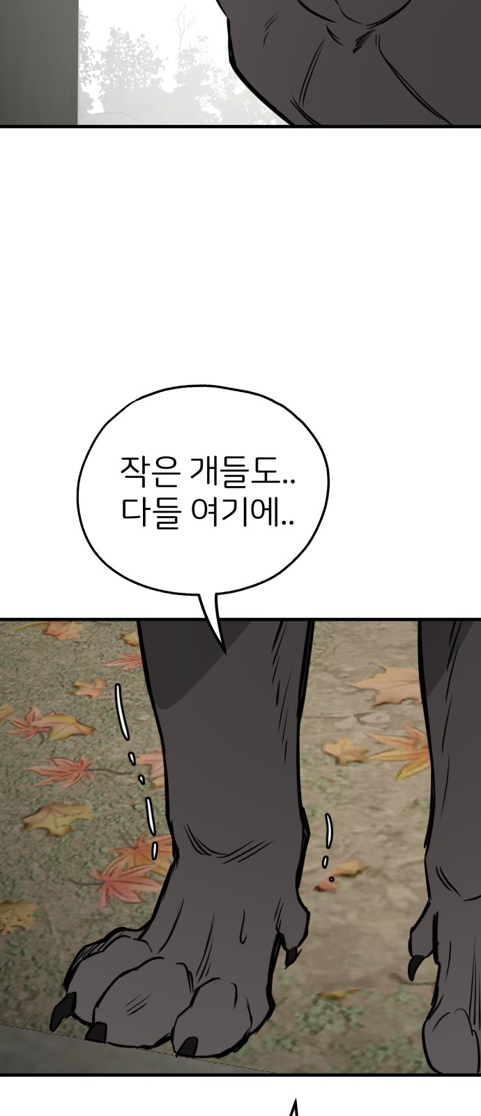 47 페이지
