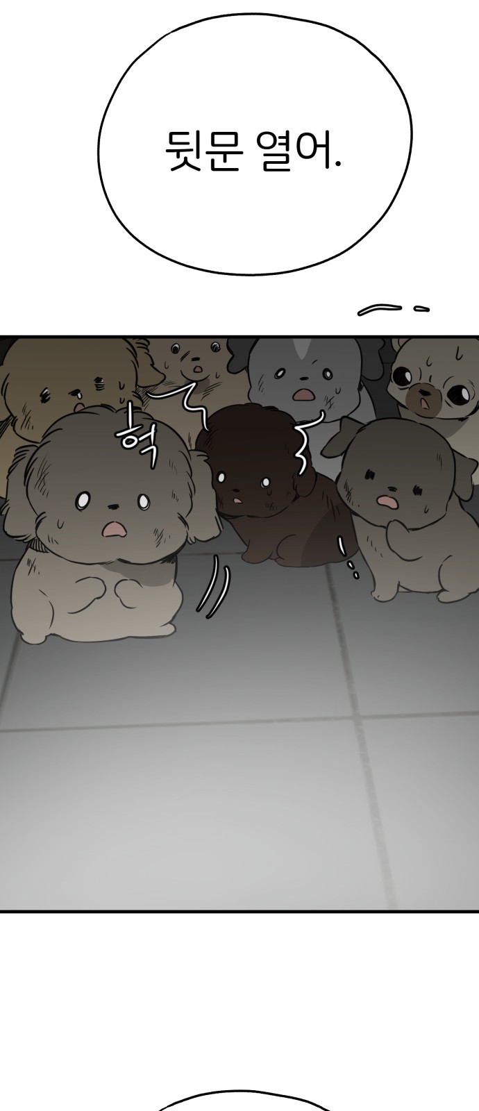 50 페이지