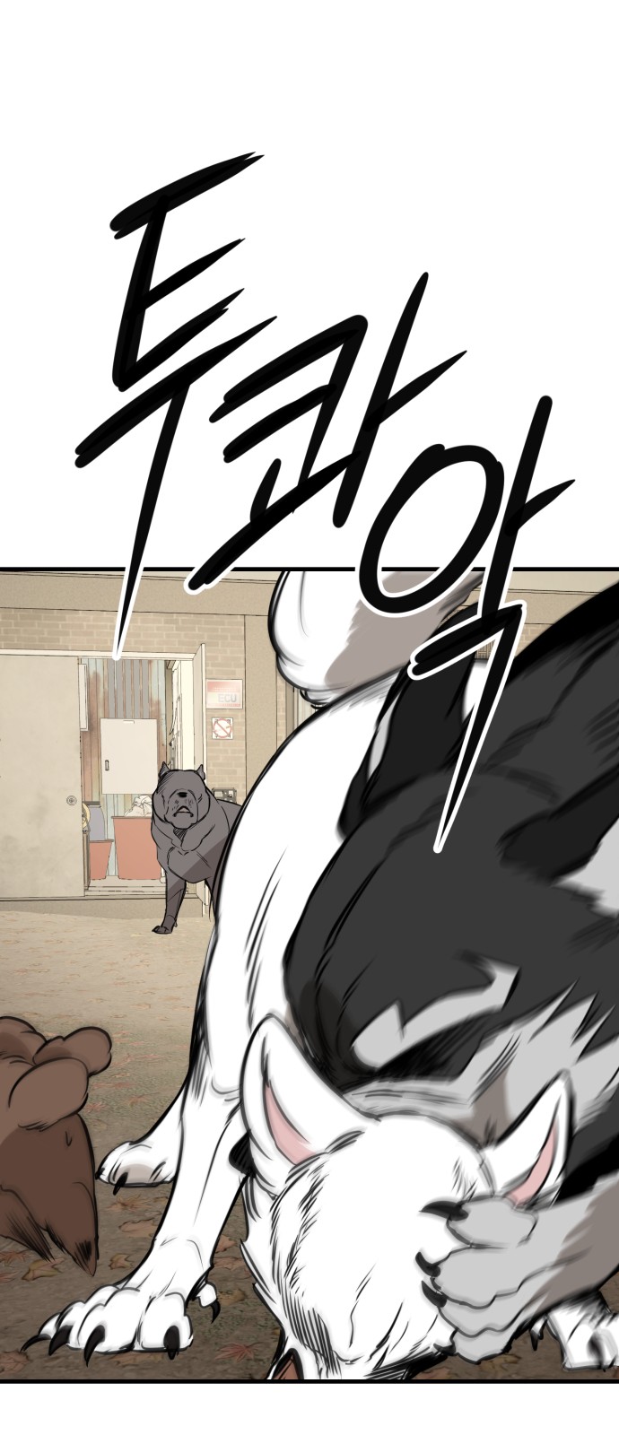 57 페이지