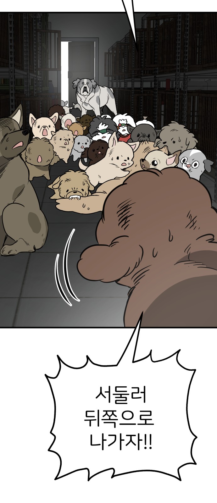 74 페이지