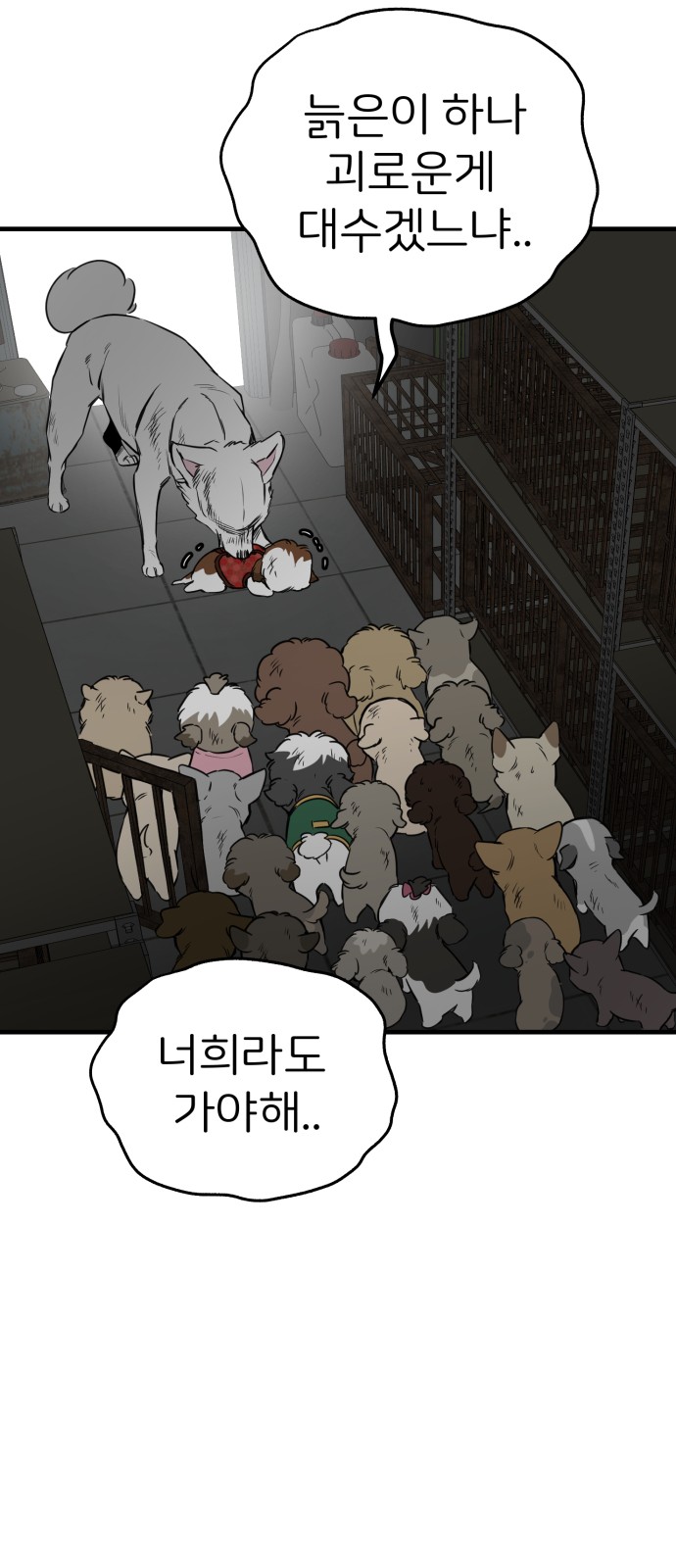 38 페이지