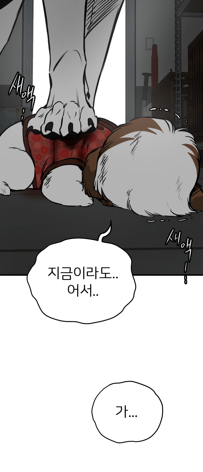 81 페이지