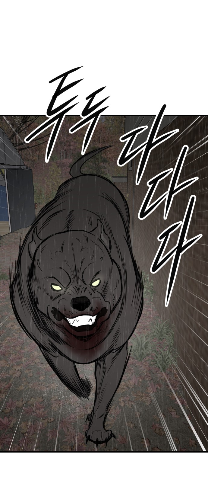 42 페이지