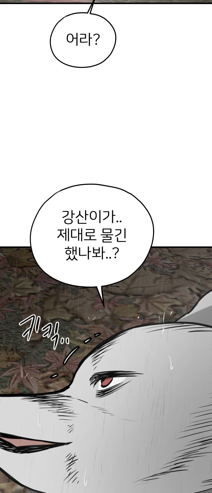62 페이지