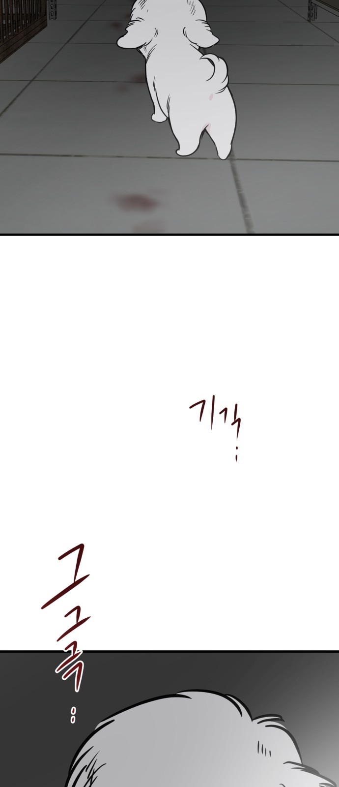 81 페이지