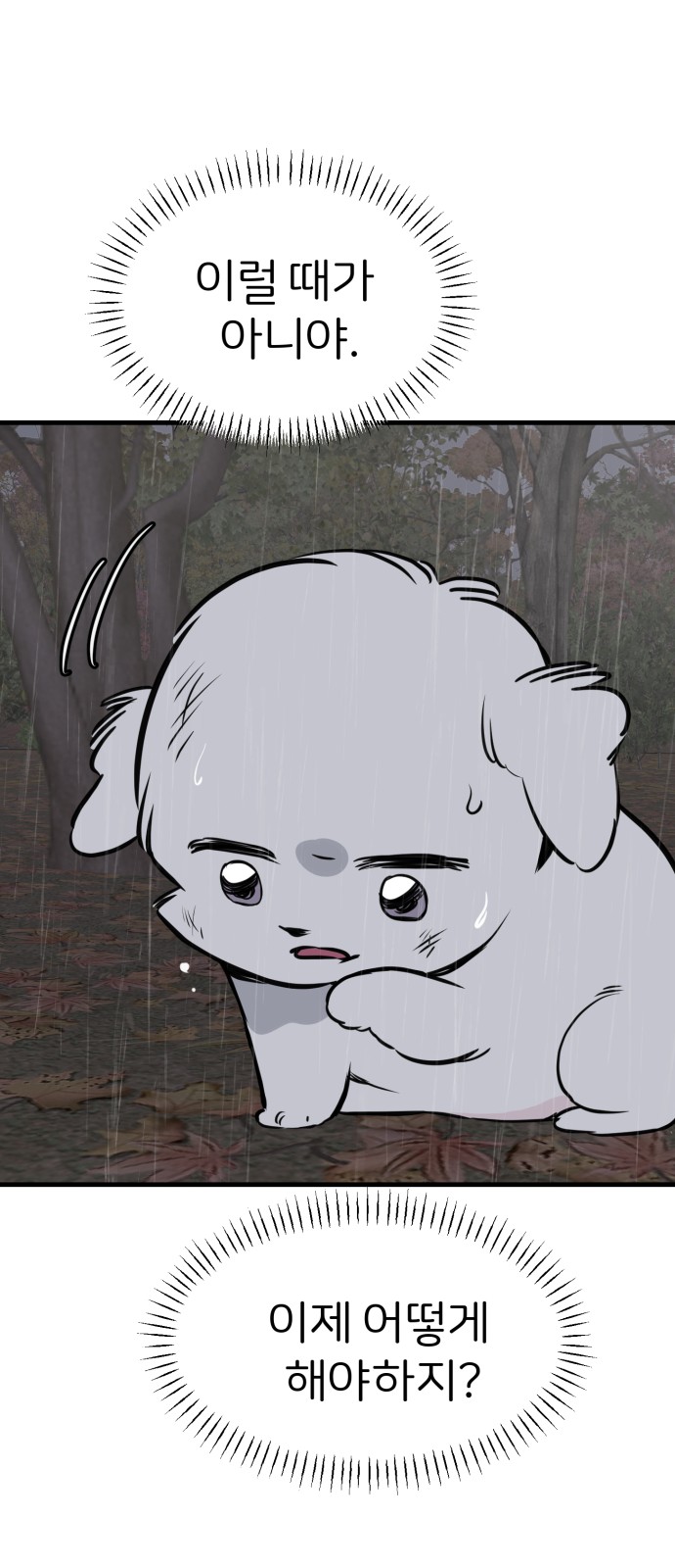 21 페이지