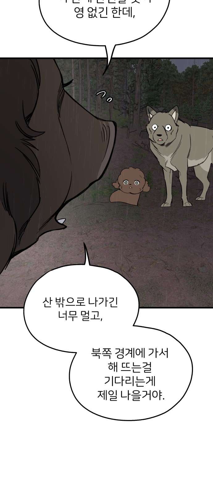 43 페이지