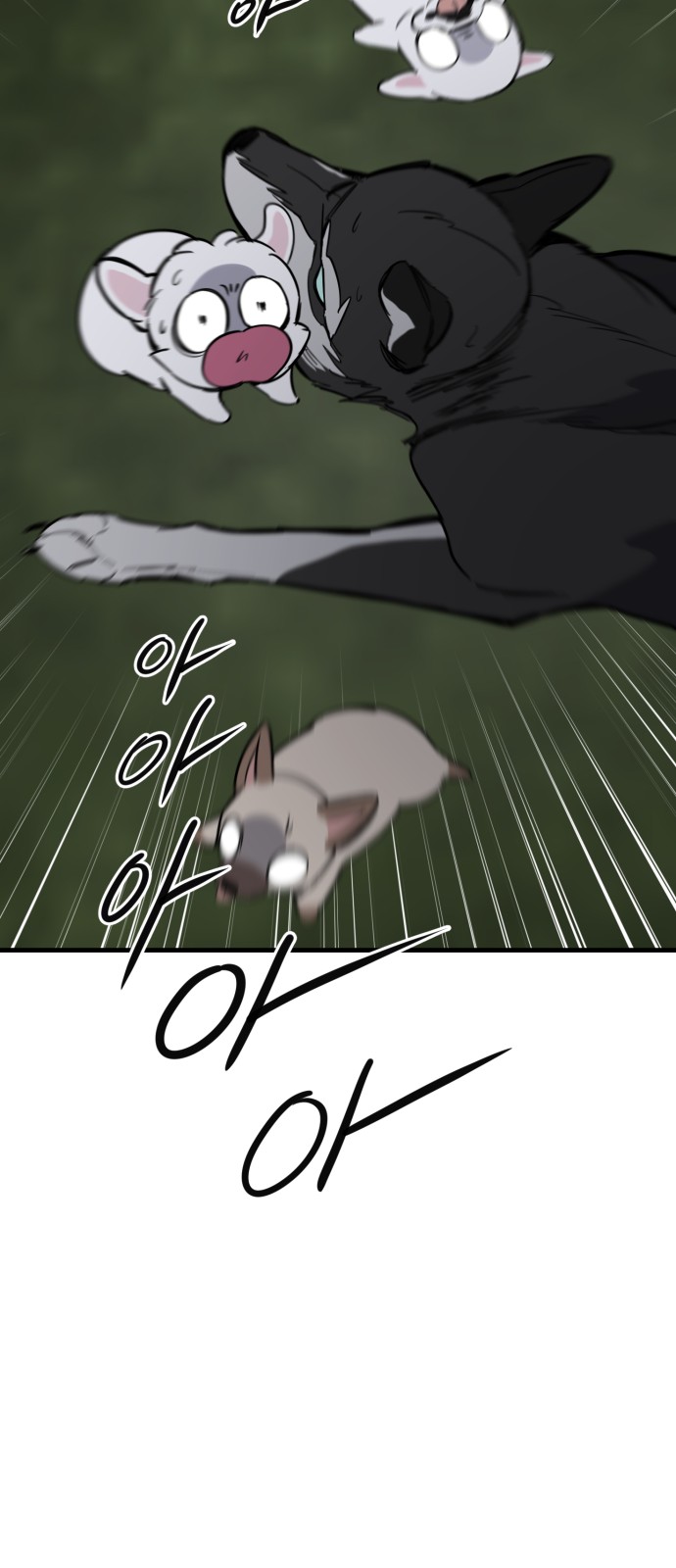 79 페이지