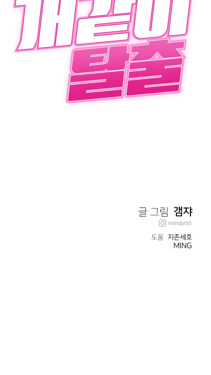 74 페이지