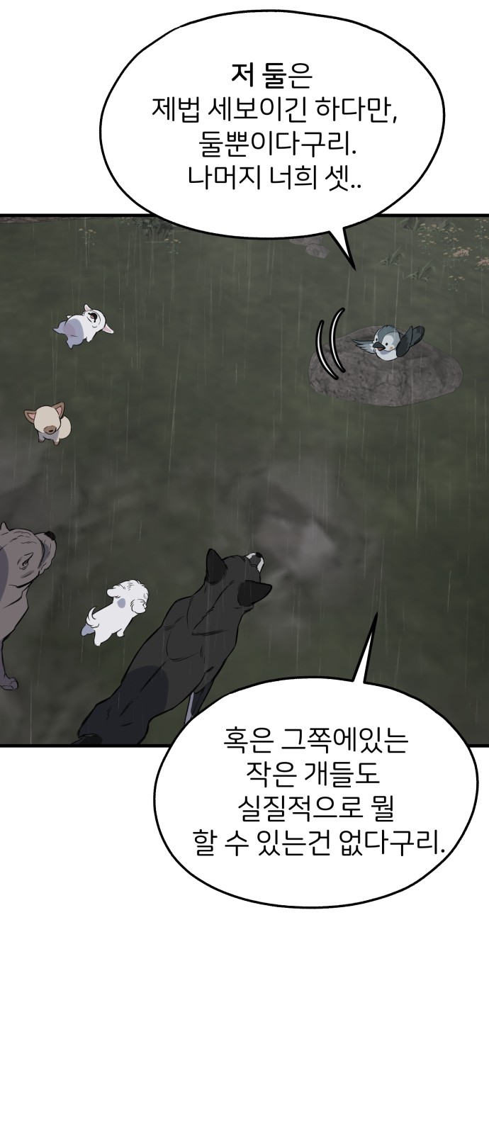 40 페이지