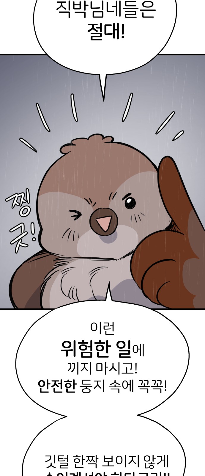 62 페이지