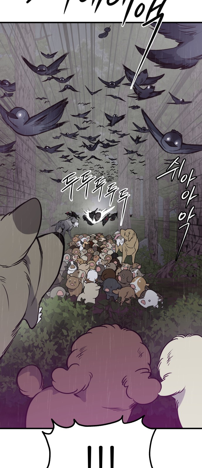 61 페이지