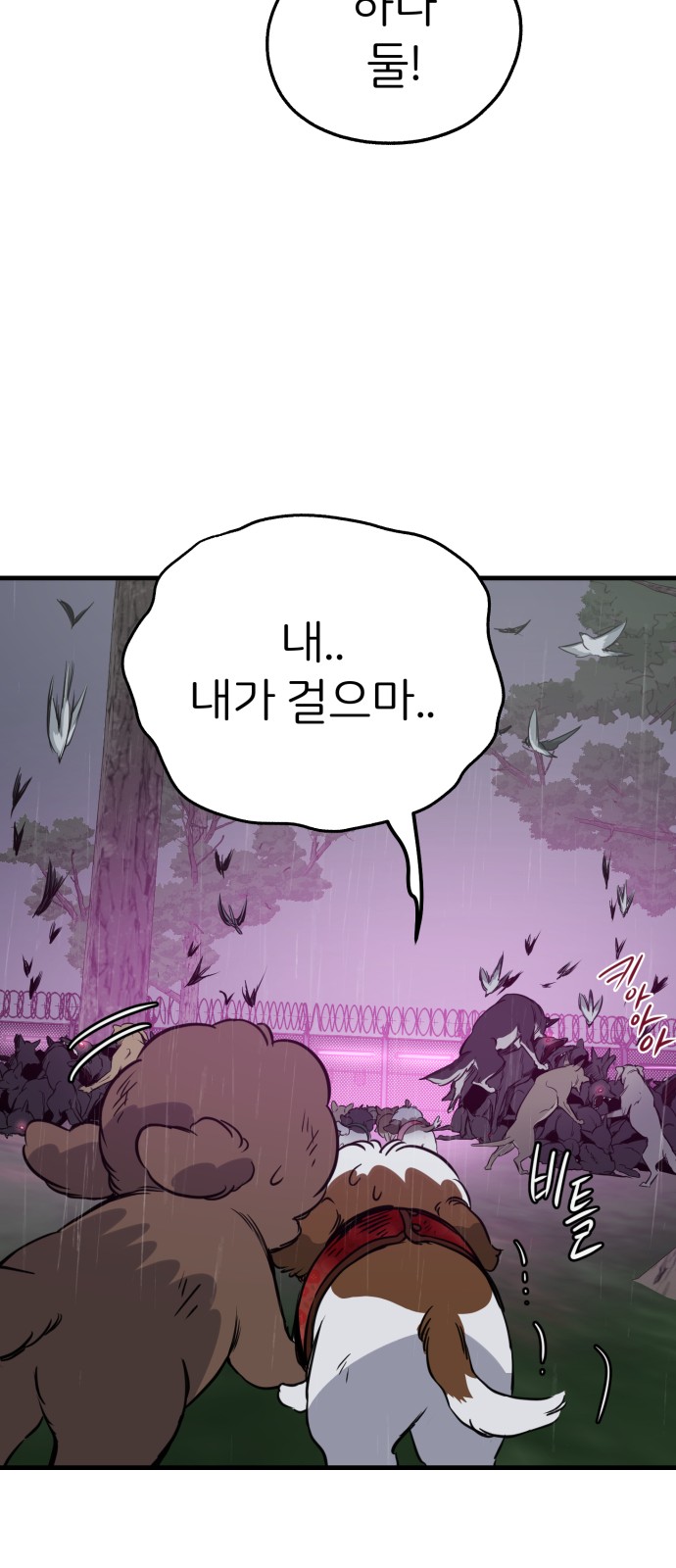 17 페이지