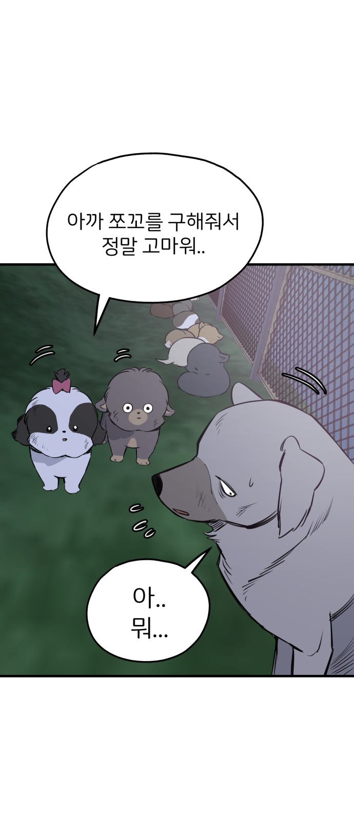 14 페이지