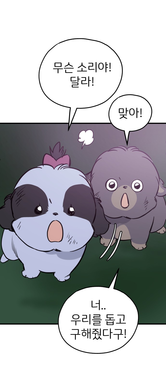 19 페이지
