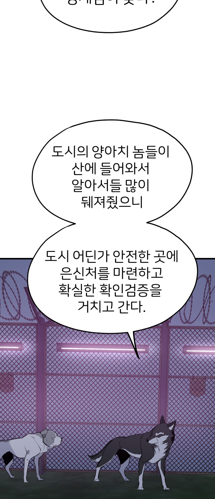 50 페이지