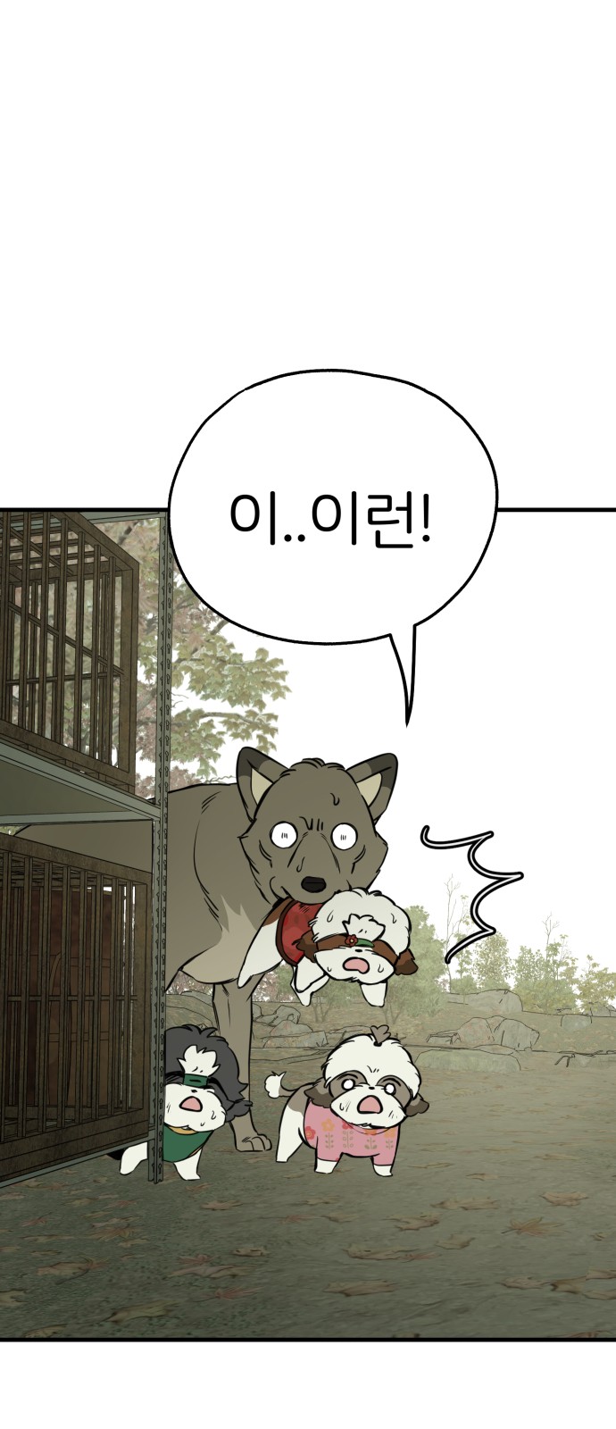 17 페이지