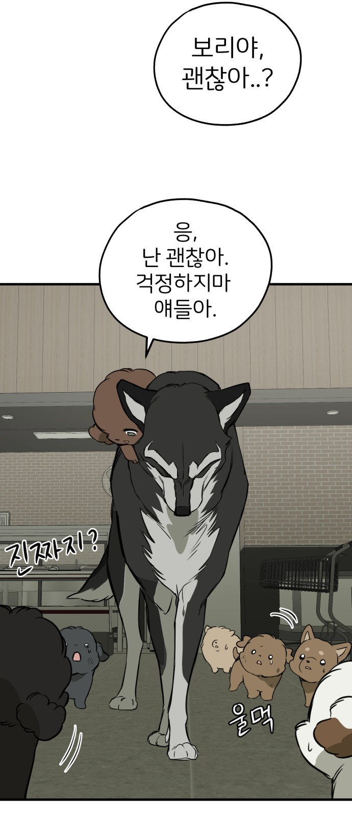 60 페이지