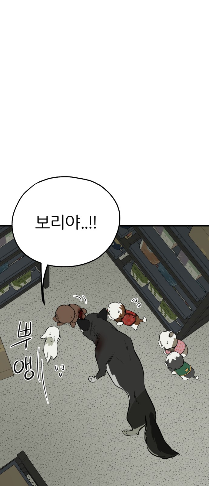 61 페이지