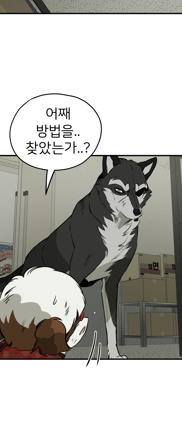 62 페이지