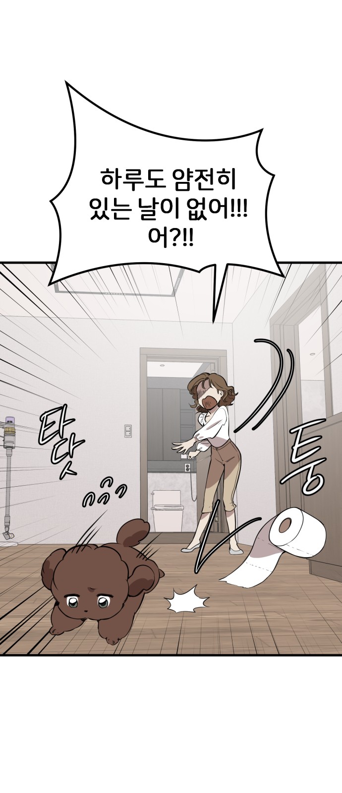 33 페이지