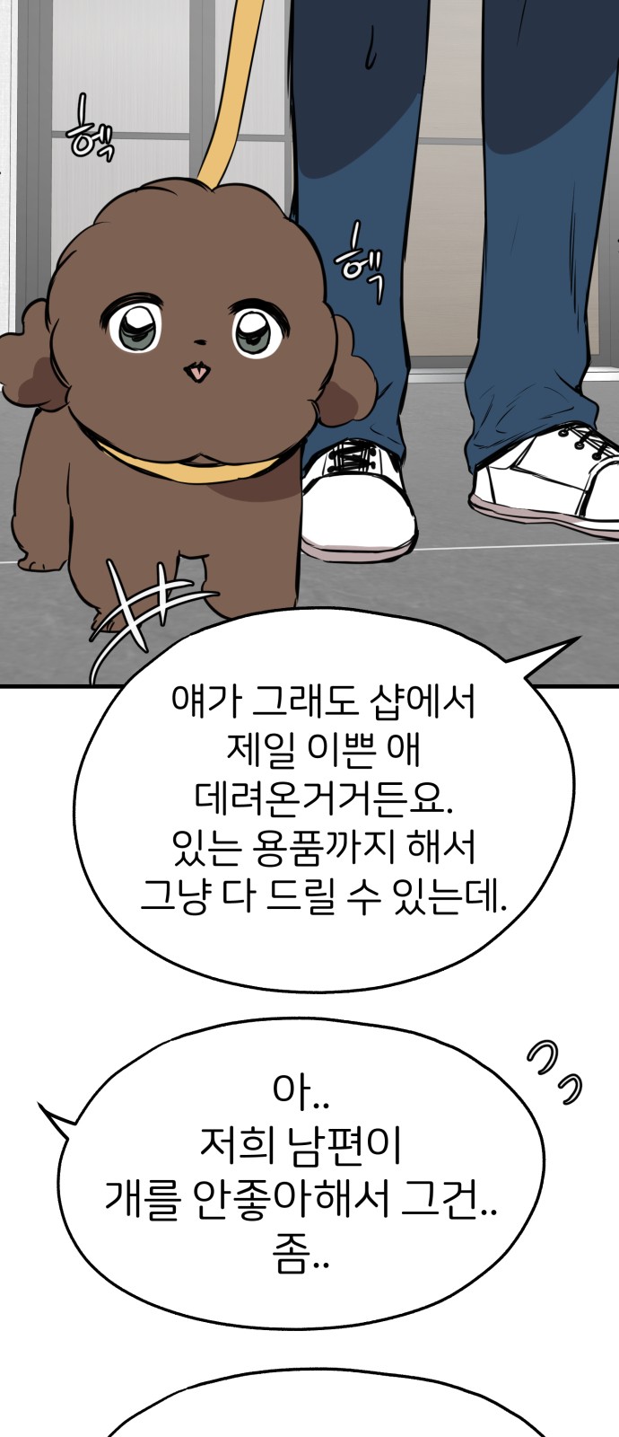43 페이지