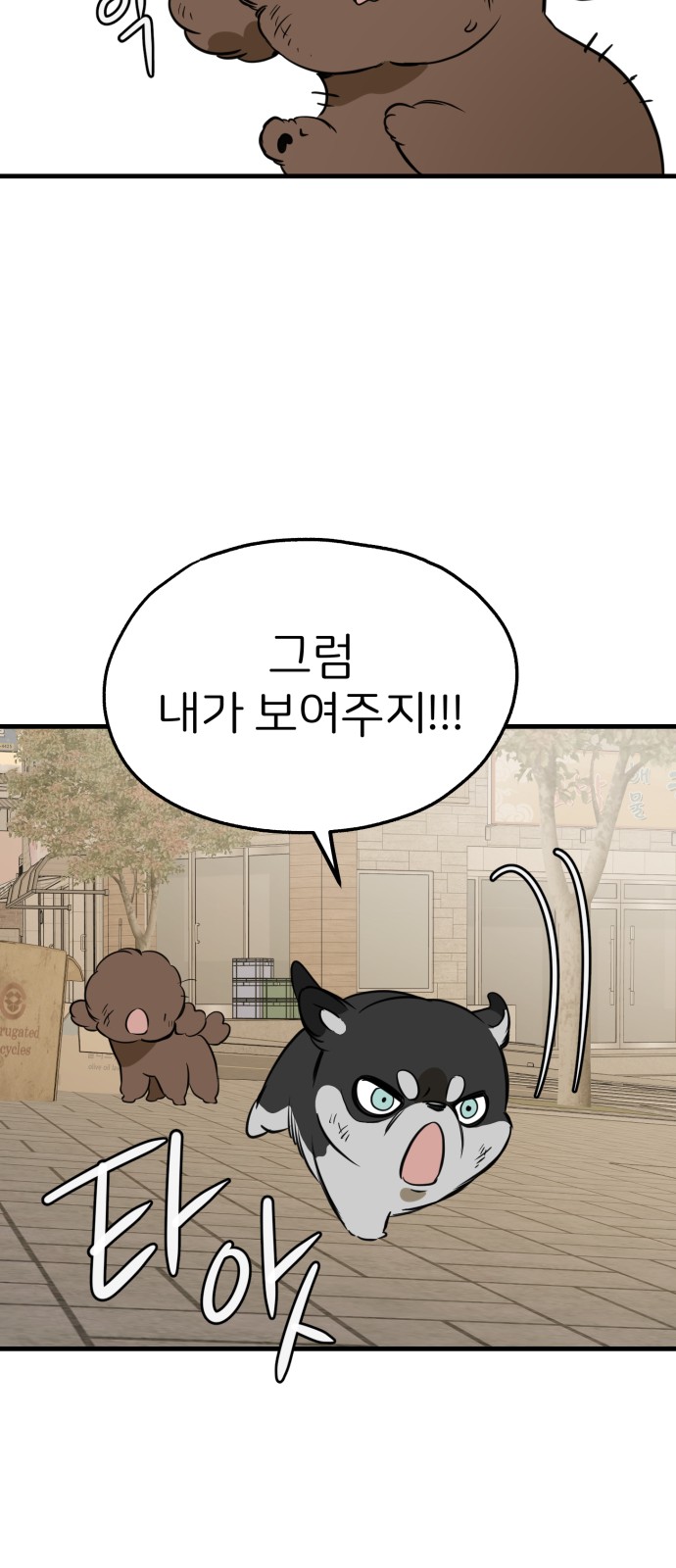 43 페이지