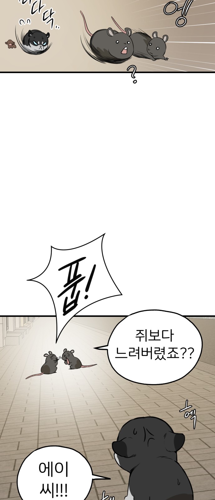 45 페이지